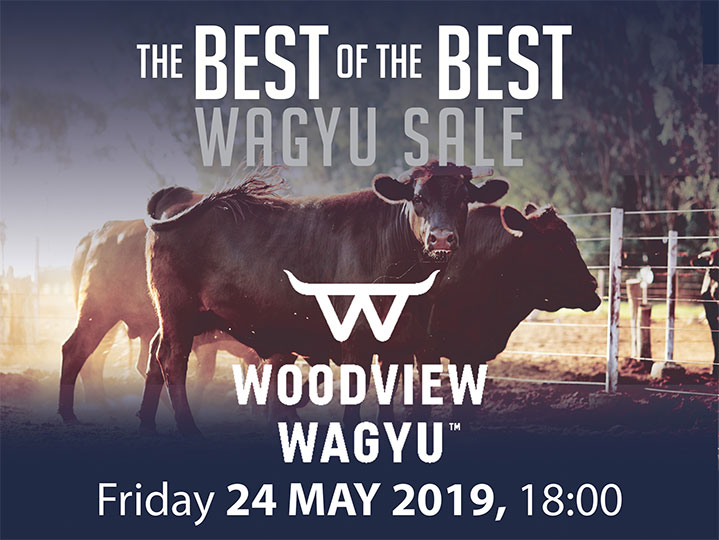 Wagyu Sale 2019