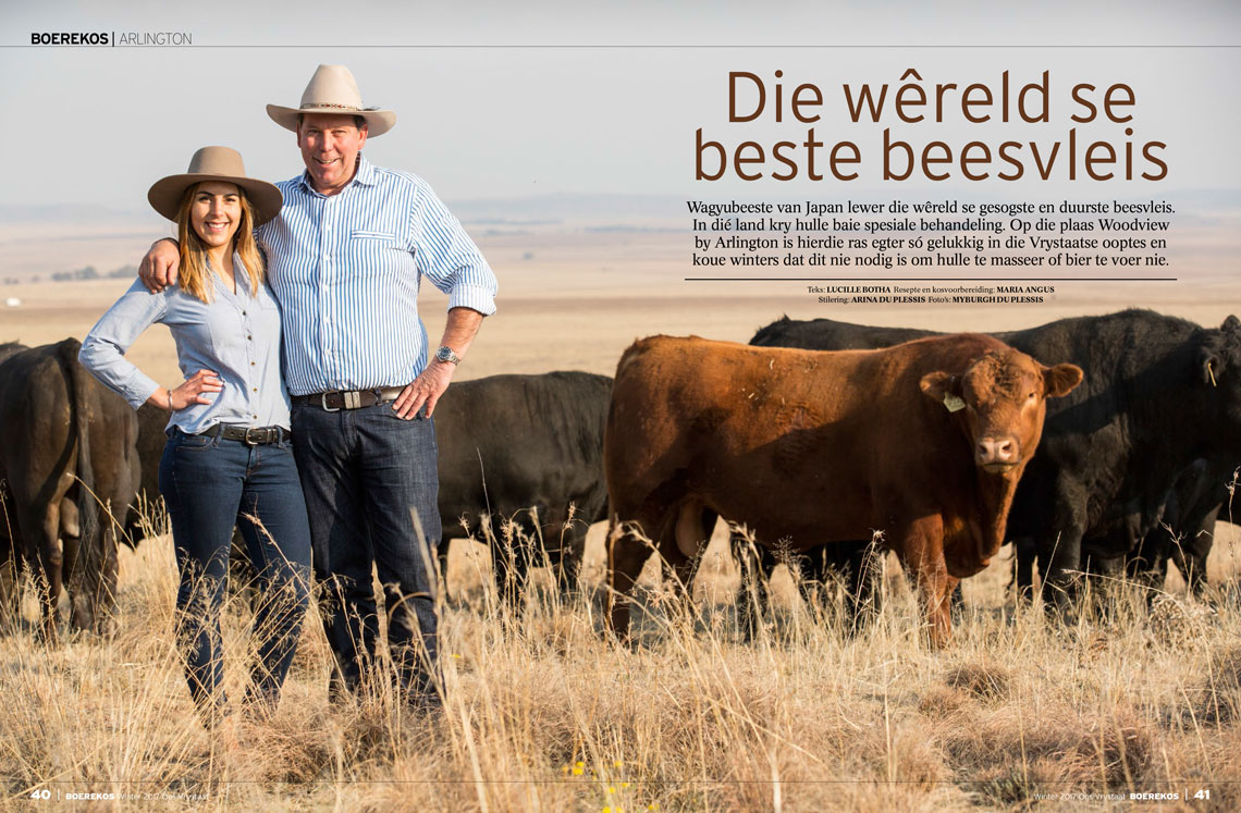 Wagyu Article