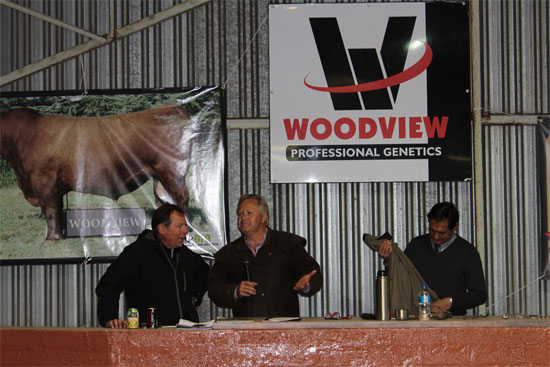 Woodview Auction 2013