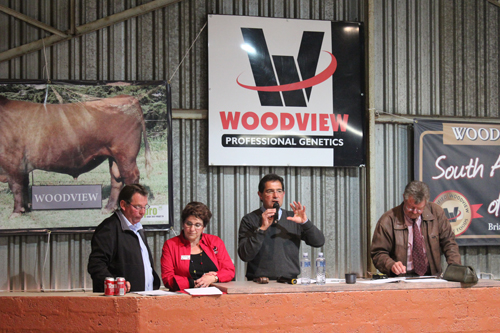 Woodview Bull Sale Results
