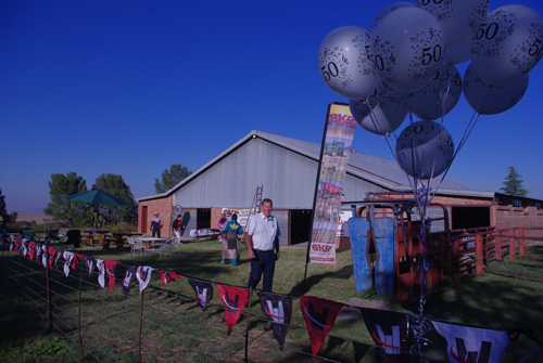 Woodview Female Sale Results