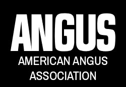 American Angus Association