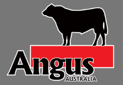 Angus Australia